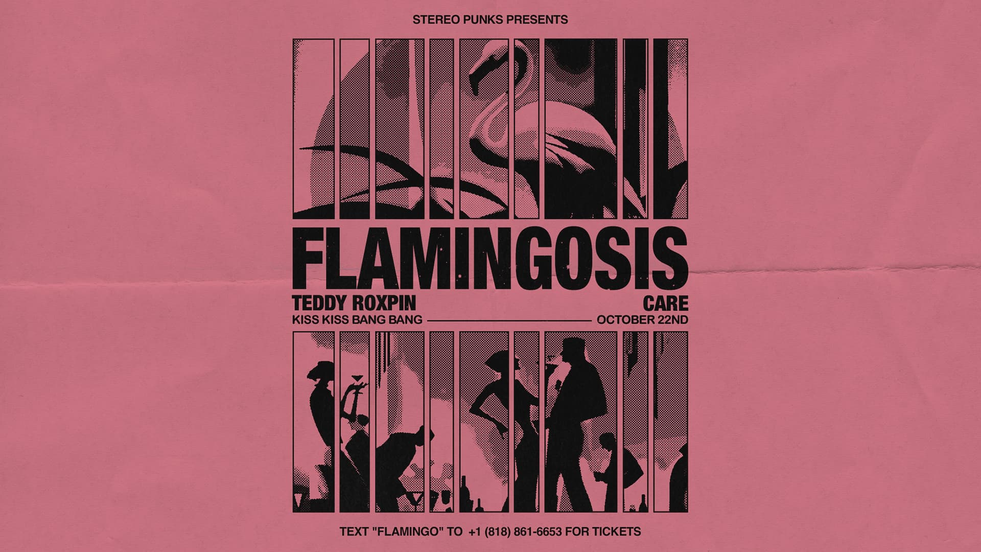 Stereo Punks presents Flamingosis