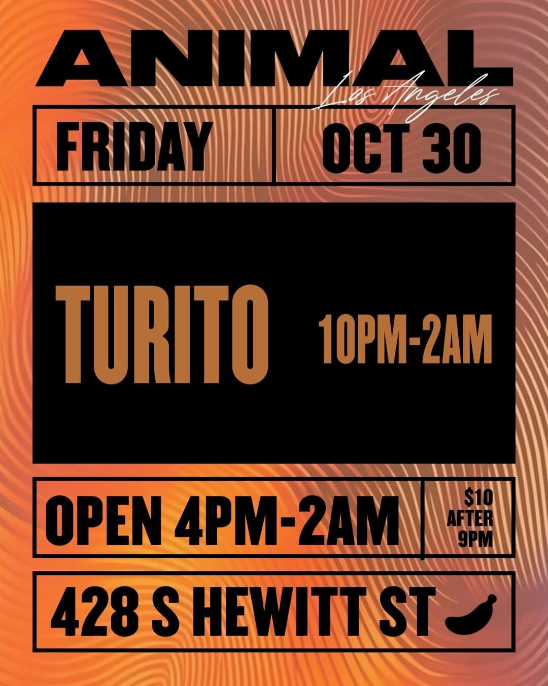 Turito