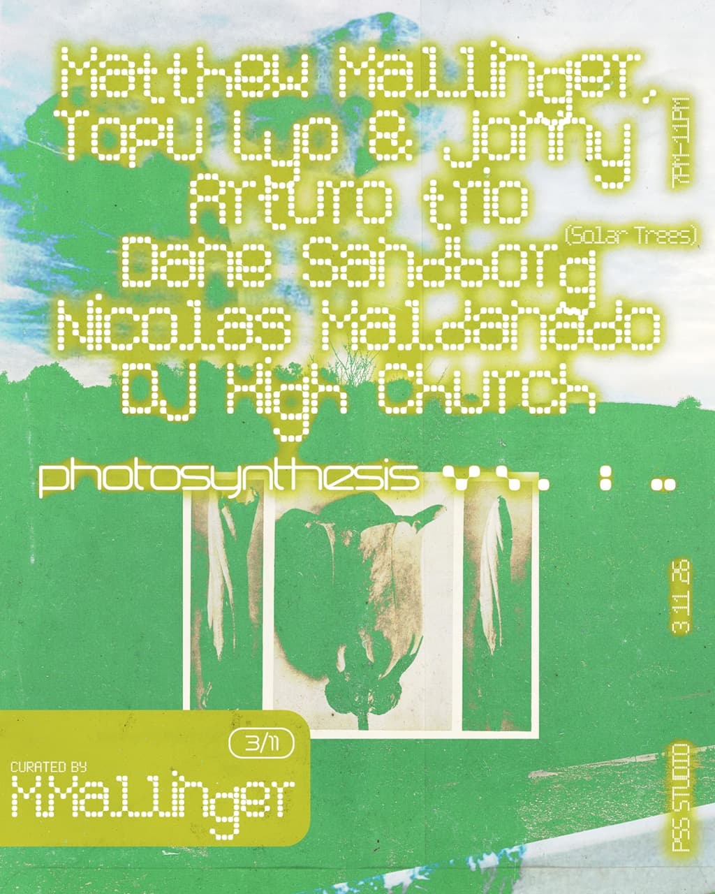 Photosynthesis / Curated by Matthew Mallinger