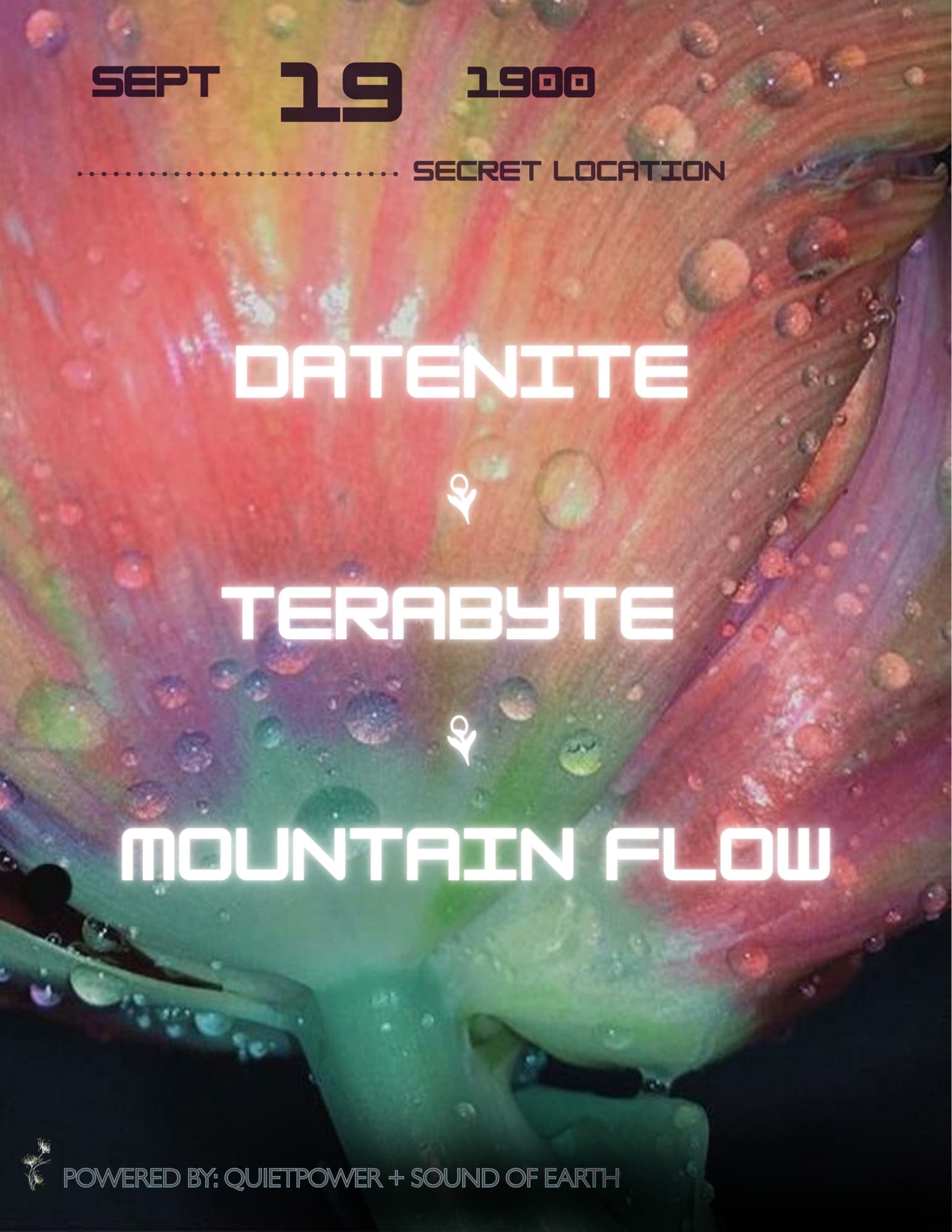 QUIET POWER PRESENTS DateNite + Terabyte + MOUNTAIN FLOWS
