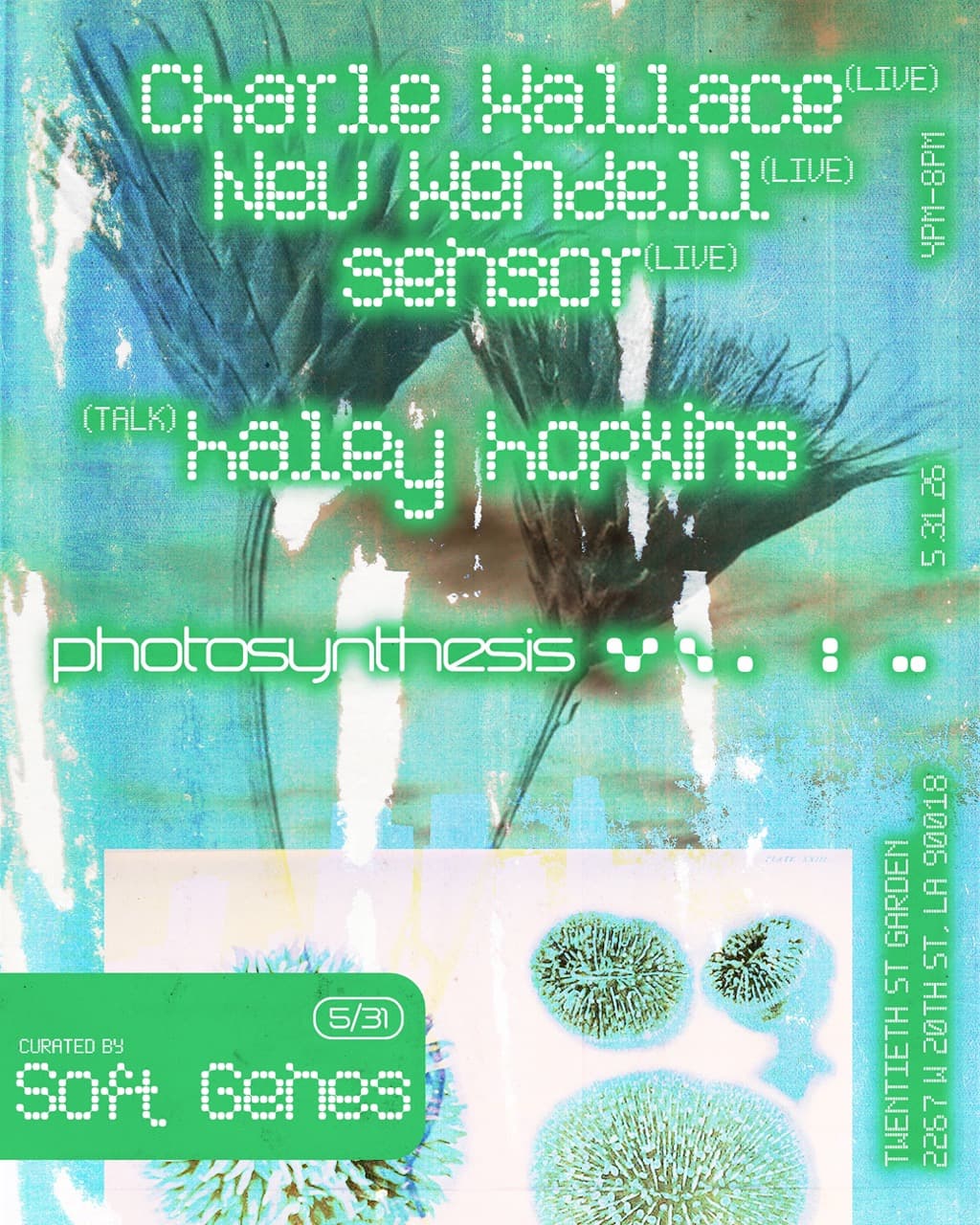 Photosynthesis / Soft Genes / Twentieth Street Garden event