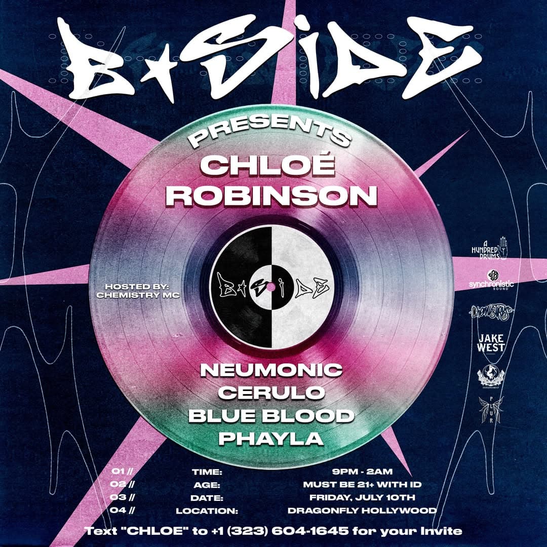 BSideLA: ChloƩ Robinson