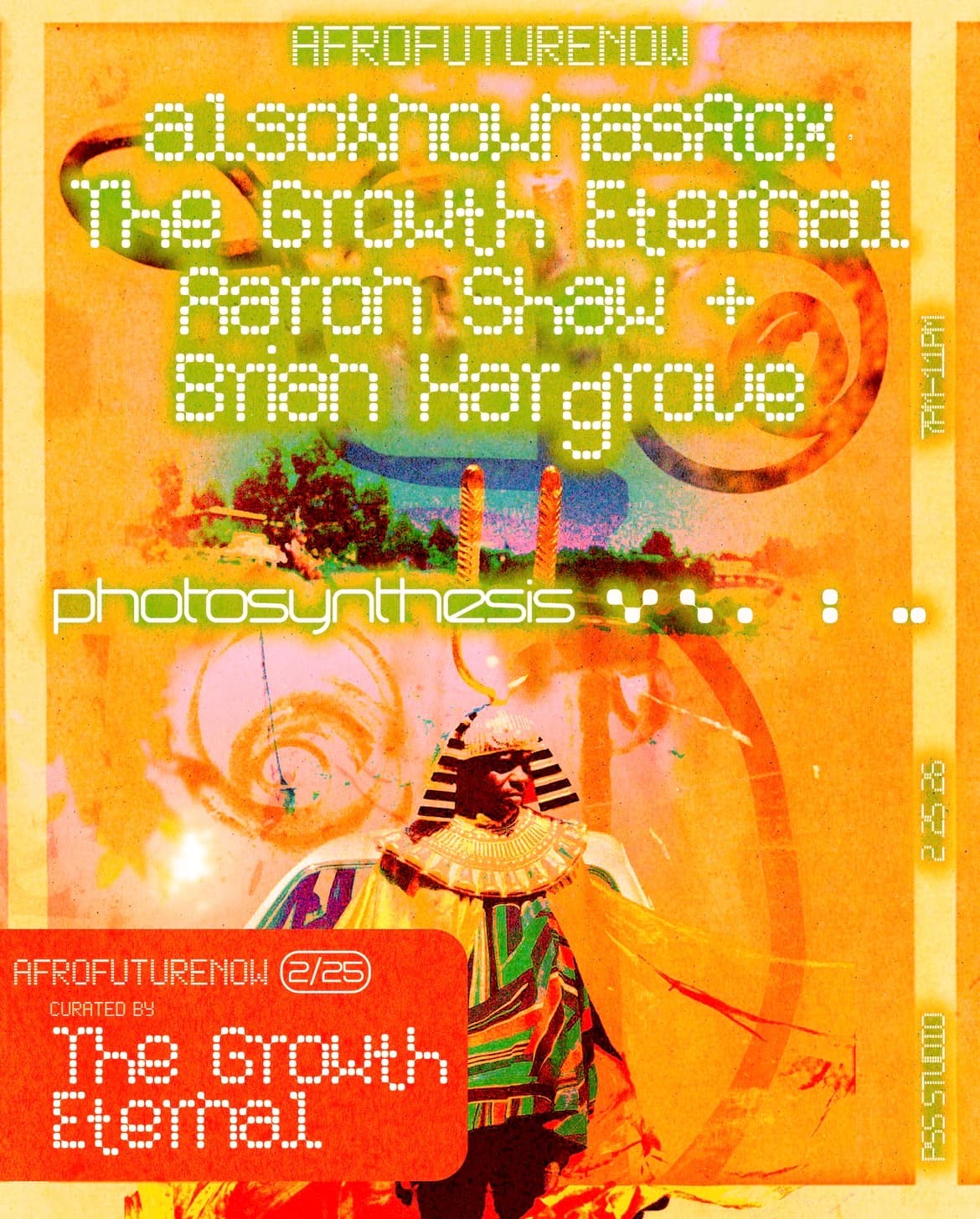 Photosynthesis - AfroFutureNOW